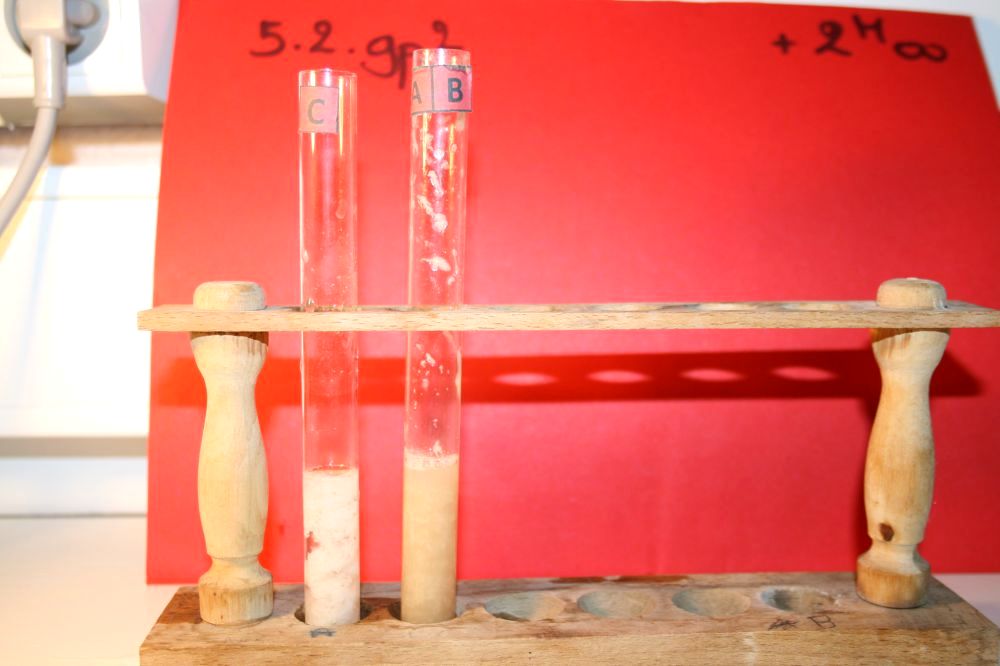 gal/LES_CINQUIEMES/ACTIVITE DIGESTION IN VITRO/Groupe_02/Groupe02_T_02h00min/Groupe02_temps02H00min_33.jpg